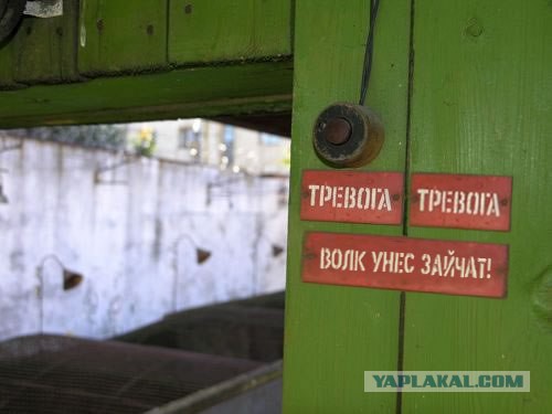 Подборка интересных и веселых картинок