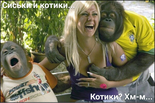 Старое по-новому