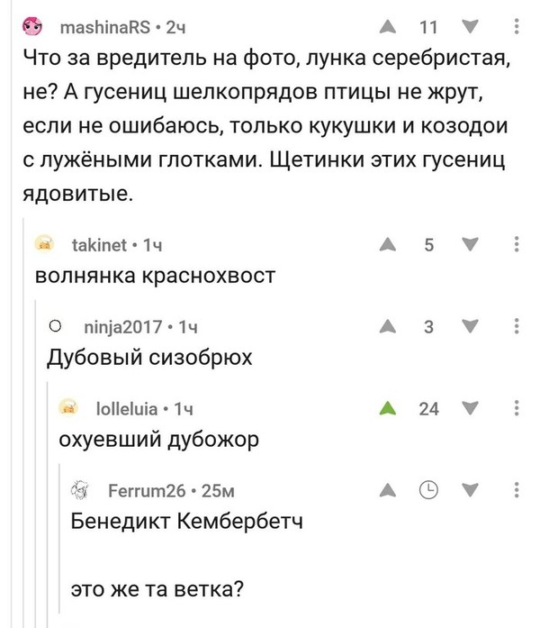 Забавные шутки, фразы и комментарии из этих ваших интернетов