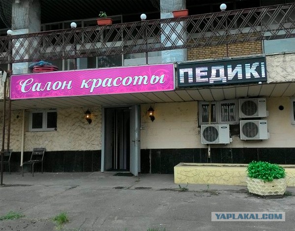 Несколько веселых картинок