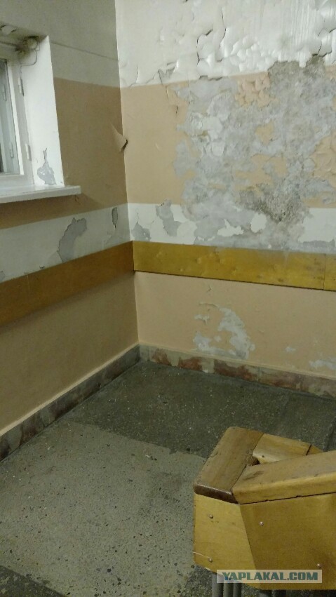 Путин предложил создать программу возрождения Сирии из-за масштаба разрушений