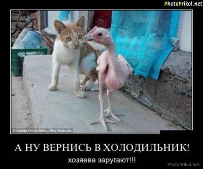 Удивительные снимки с российских просторов