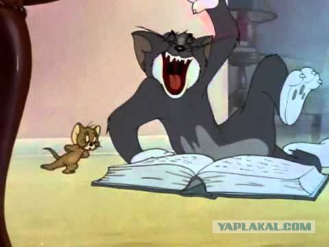 Звезданутые защитники животных