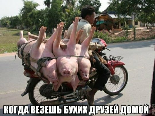Развиваешься себе, тут опа-на и деградация пришла!