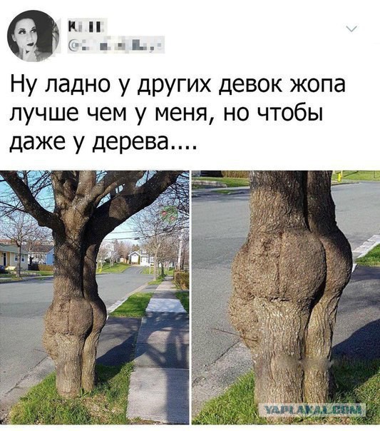 Весёлые картинки