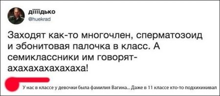 Юмор и перлы из социальных сетей!