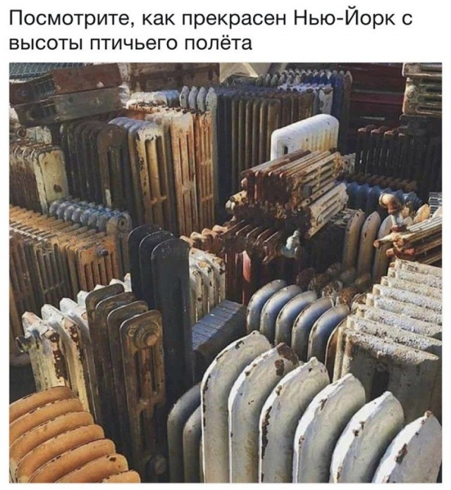 Немного юмора, гуманитарного