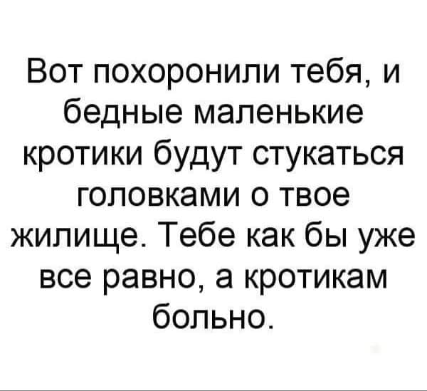 Анекдоты, соц-сети и картинки с надписями