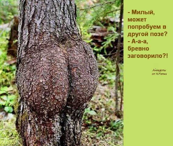 Интимные вопросы о женщине