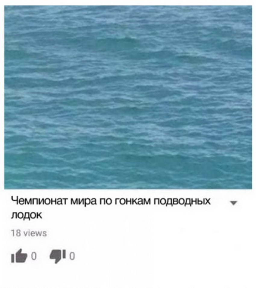 13211531.jpg