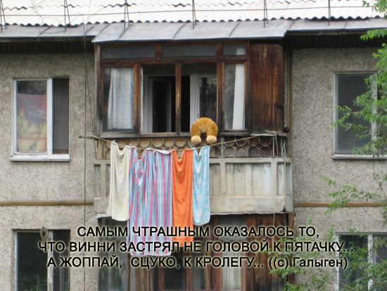 Конкурс: подпись к картинке