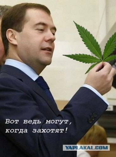 Президент тоже любит чипсы