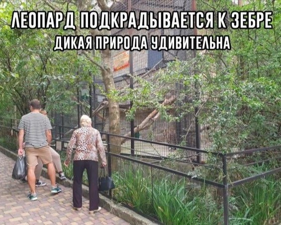 25 занимательных фотографий, в которых столько всего интересного, что вы точно не разочаруетесь