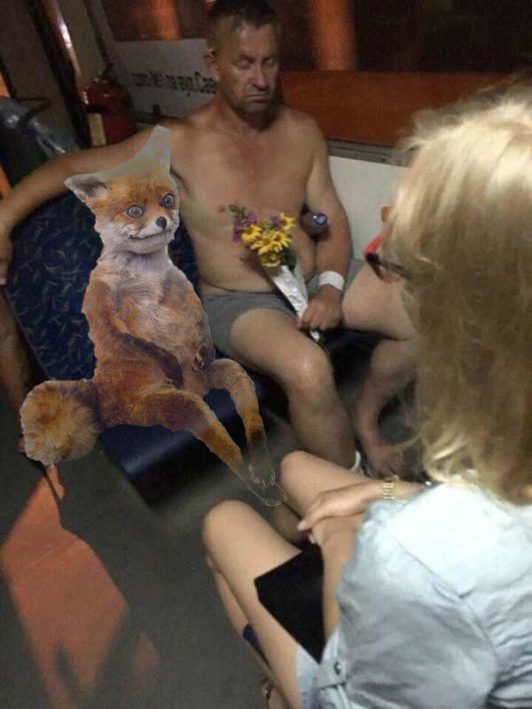 "Невозмутимая пассажирка"