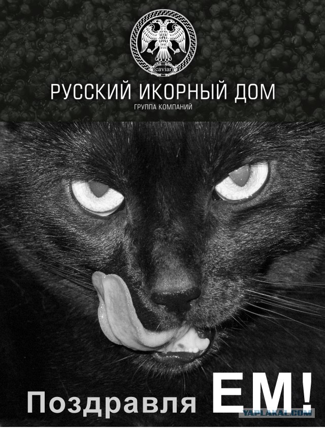 Выиграй 3кг черной икры!