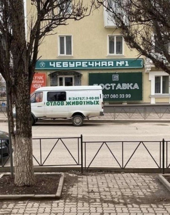 Прикольные и просто красивые картинки 22.12.2020