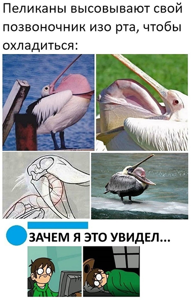 Картинки с надписями и всякие жизненные фразы 9.01.21