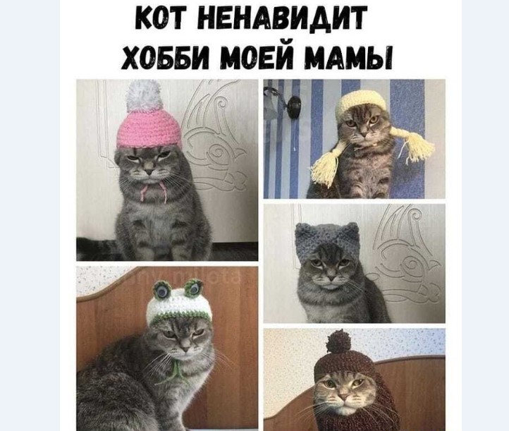 15124531.jpg