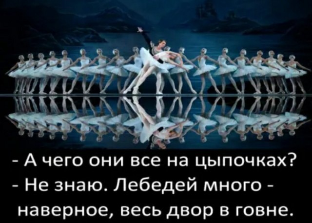Мадам и месье бонжур