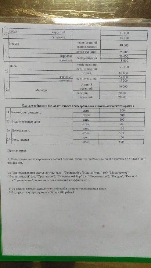 Козёл застрял