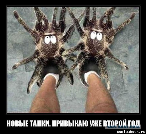 ДТП и Тапочки