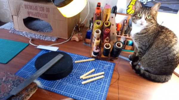 Котовторник 14.09.2021