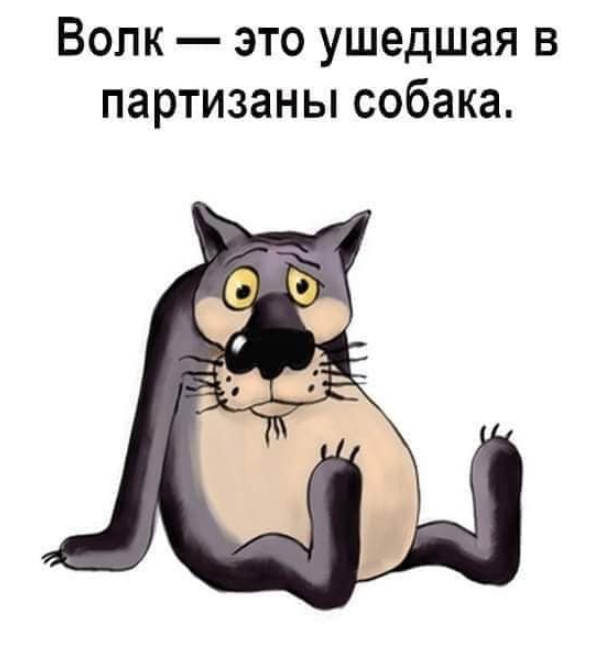 Картинки и мемы для настроения 17.11.2021