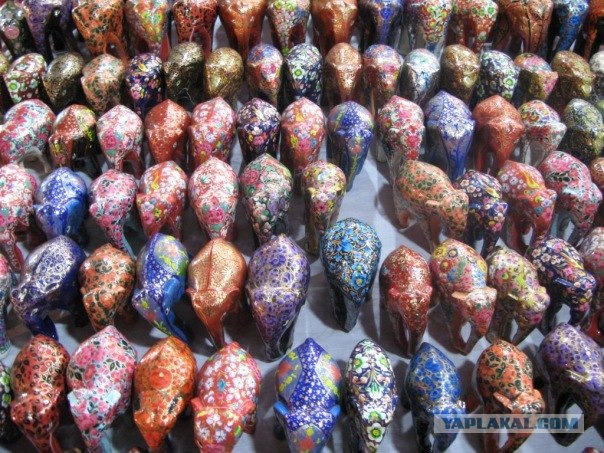 Гоа 2011. Раз, два, три - произносим "шааантиии"