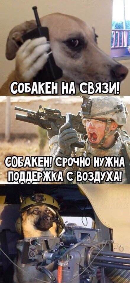 Псс..! Мемов надо?