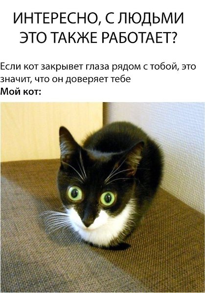 Я понимаю, что не котовторник.