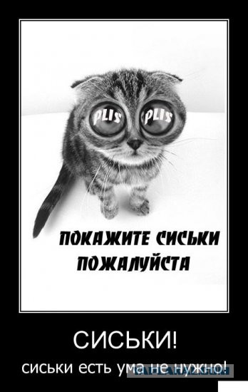 Женской дружбы не существует