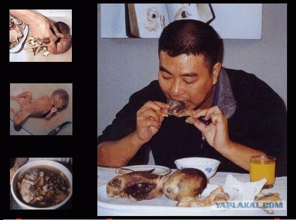 10 самых необычных супов мира ‒ экзотические первые блюда от различных народностей