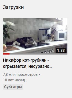 Никифор кот - грубиян