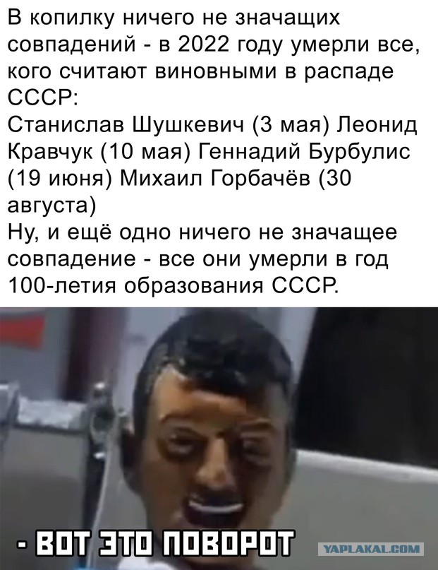 Весёлый полтишок 08.09.22