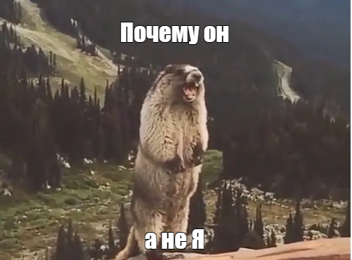 Ну привет, старый друг