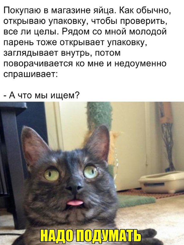Картинки и мемы. Выходные близко...