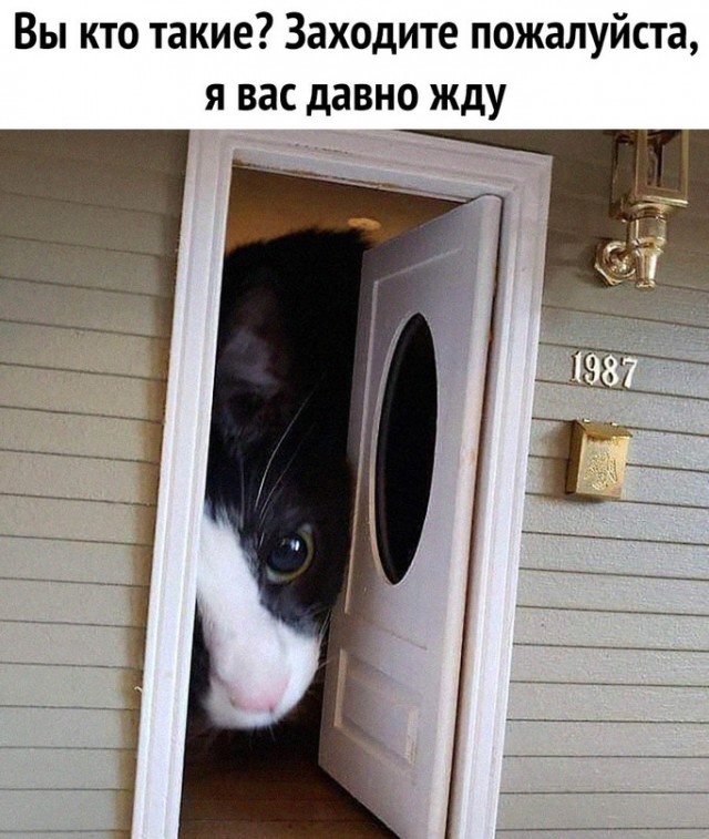 Немного картинок для настроения - 112