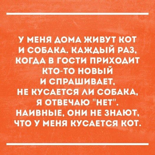 Картинки и мемы для настроения - 119