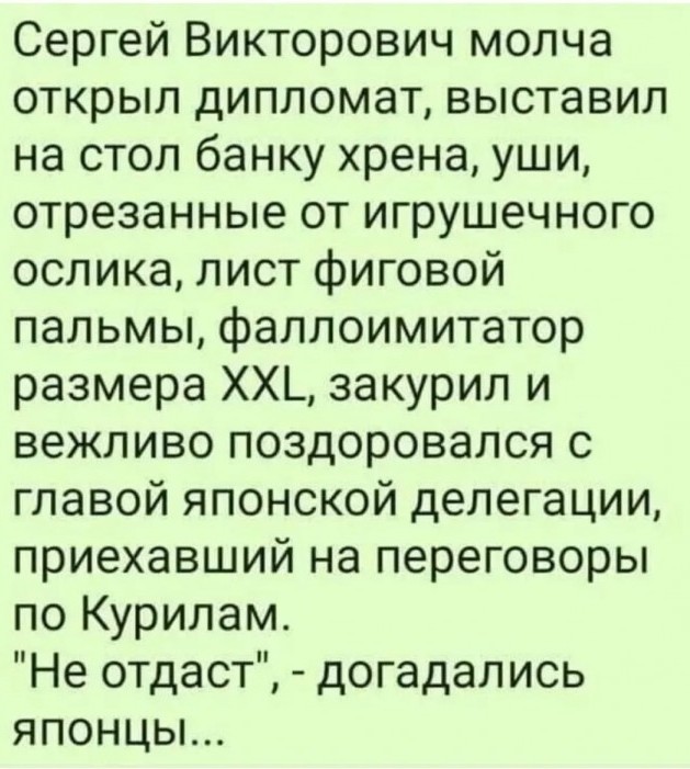 Япония применила термин «незаконная оккупация» к российским Южным Курилам