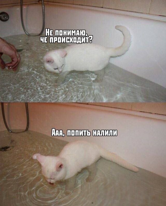 Немного картинок для настроения - 135