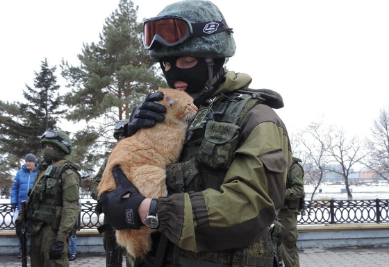 Подборка служебных собак