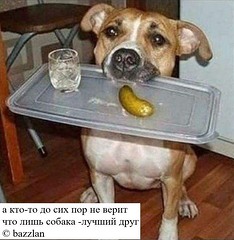 Алкогольные картинки
