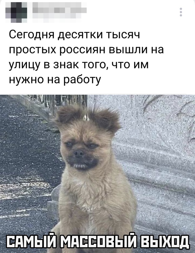 Весёлый полтишок 19.07.23