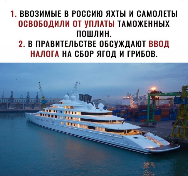 В Госдуме предложили обложить налогом хозяев кошек и собак
