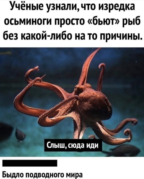 40 пятничных картинок 29.12.2023