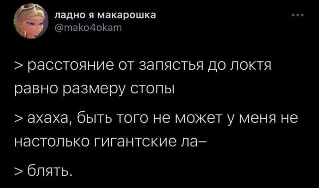 Выдающиеся лапы животного мира