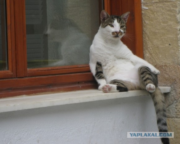 А ты думал, я тебя не найду?