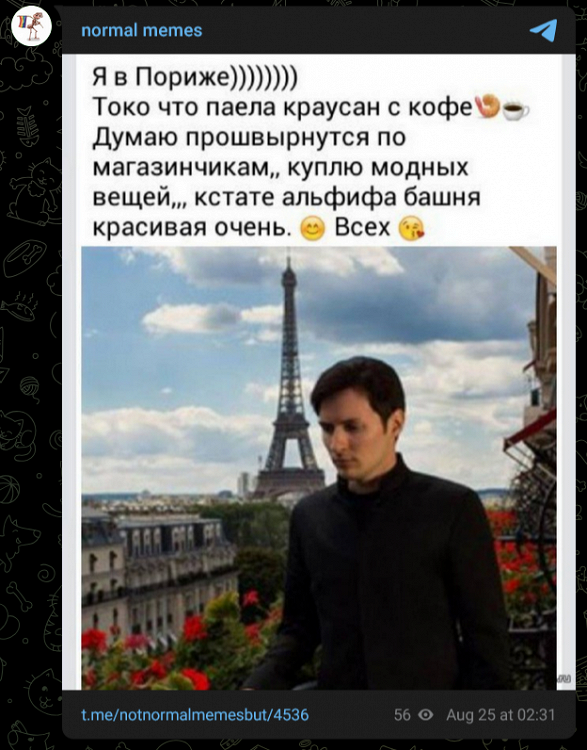 Подытоживая злободневное. «Свободу отцу 100 детей»: соцсети встретили мемами новость о задержании Павла Дурова