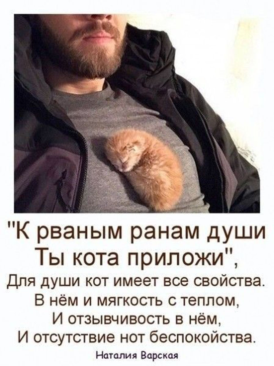 20039531.jpg