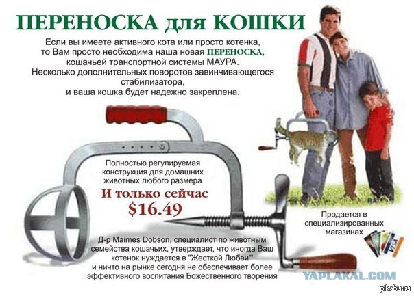 Моя кошка тов. майор...